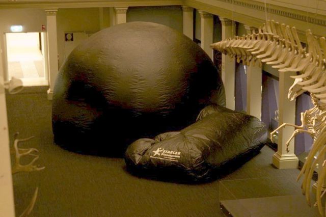 Long Gallery, Australian Museum (Credit: Shane Hengst)